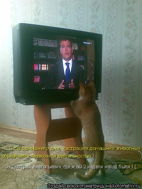 Котоматрица: -...С сегодняшнего дня, кастрация домашних животных объявляется незаконной деятельностью ! - Эх Дмитрий Анатольевич, где ж вы 2 недели назад б