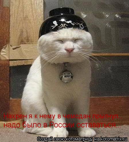 надо было в России оставаться... Нахрен я к нему в чемодан прыгнул..... Котоматрица: надо было в России оставаться... Нахрен я к нему в чемодан прыгнул..
