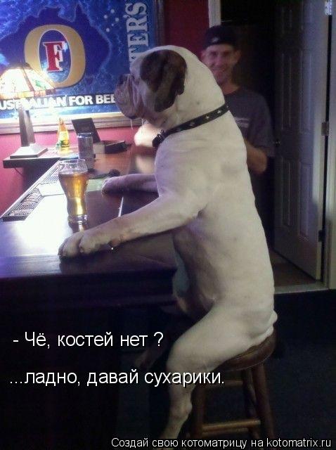 - Чё, костей нет ? ...ладно, давай сухарики.... Котоматрица: - Чё, костей нет ? ...ладно, давай сухарики.