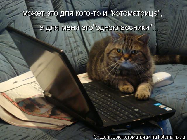Котоматрица: может это для кого-то и "котоматрица", а для меня это"одноклассники"...