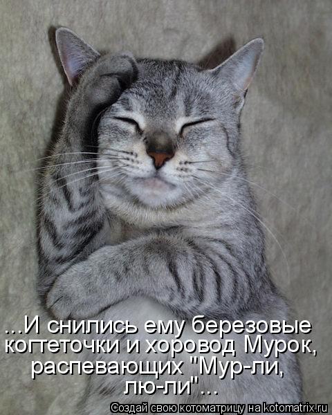 Котоматрица: ...И снились ему березовые когтеточки и хоровод Мурок, распевающих "Мур-ли, лю-ли"...