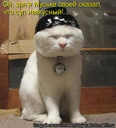 Котоматрица: Ой, зря я Муське своей сказал, что суп невкусный!...
