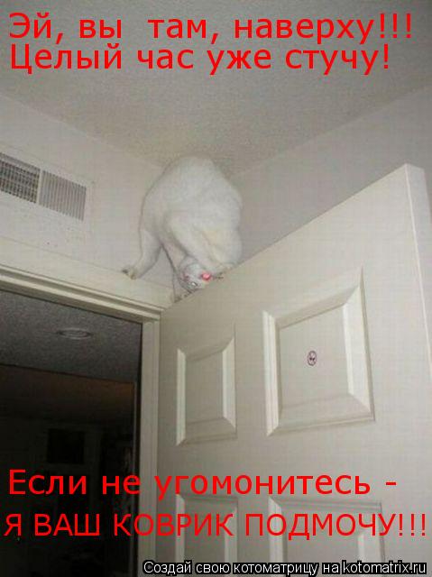 Котоматрица: Эй, вы  там, наверху!!! Целый час уже стучу! Если не угомонитесь - Я ВАШ КОВРИК ПОДМОЧУ!!!