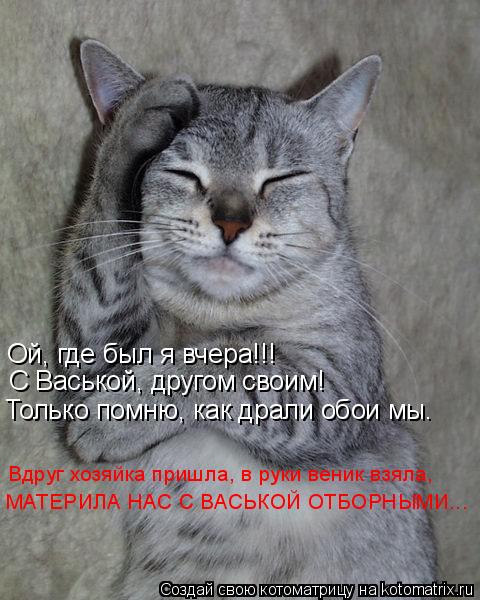 Котоматрица: Ой, где был я вчера!!! С Васькой, другом своим! Только помню, как драли обои мы. Вдруг хозяйка пришла, в руки веник взяла, МАТЕРИЛА НАС С ВАСЬКОЙ