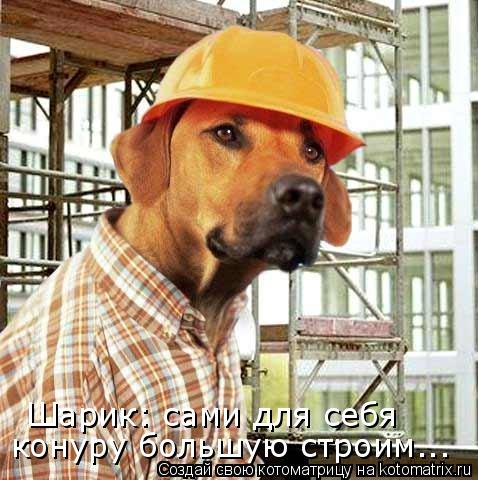 Котоматрица: Шарик: сами для себя   конуру большую строим...