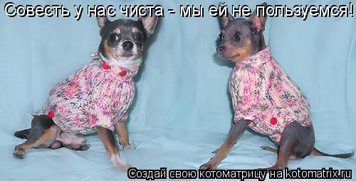 Котоматрица: Совесть у нас чиста - мы ей не пользуемся! Совесть у нас чиста - мы ей не пользуемся!