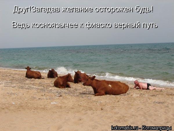 Котоматрица: Друг!Загадав желание осторожен будь!  Ведь косноязычее к фиаско верный путь