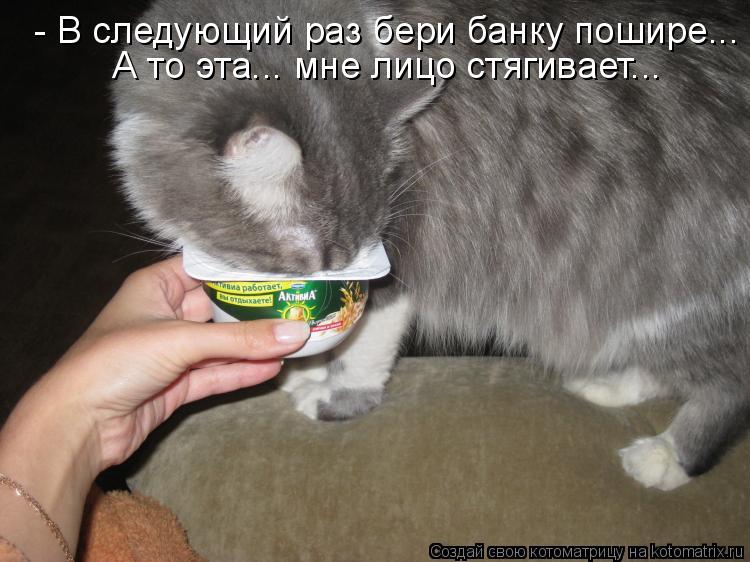 Котоматрица: - В следующий раз бери банку пошире... А то эта... мне лицо стягивает...