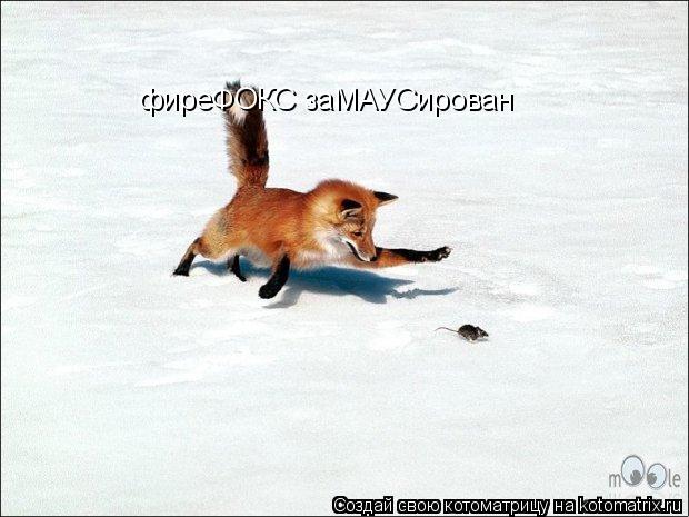Котоматрица: фиреФОКС заМАУСирован