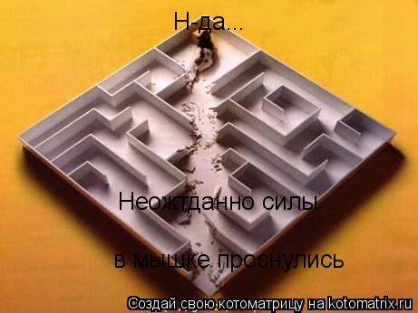 Котоматрица: Н-да... Неожтданно силы  в мышке проснулись