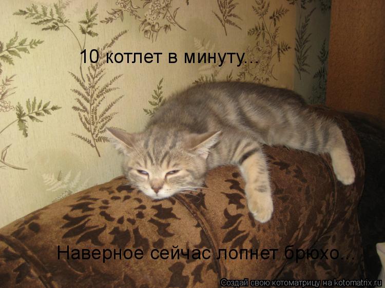 Котоматрица: 10 котлет в минуту... Наверное сейчас лопнет брюхо...