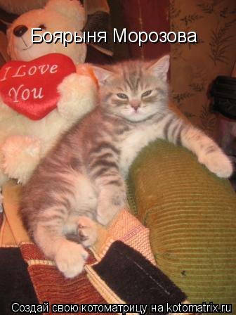Котоматрица: Боярыня Морозова