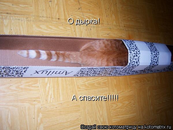 Котоматрица: О дырка!  А спасите!!!!!