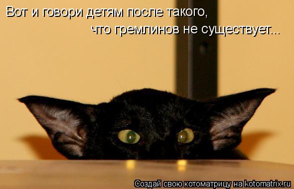 Котоматрица: Вот и говори детям после такого,  что гремлинов не существует...