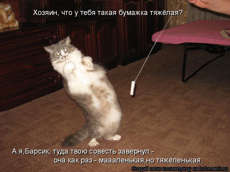 Котоматрица: Хозяин, что у тебя такая бумажка тяжёлая? А я,Барсик, туда твою совесть завернул -  она как раз - маааленькая,но тяжёленькая.