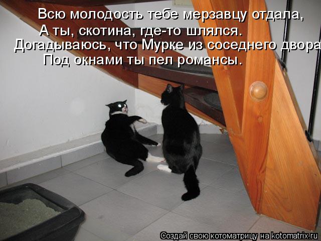 Котоматрица: Всю молодость тебе мерзавцу отдала, А ты, скотина, где-то шлялся.  Догадываюсь, что Мурке из соседнего двора Под окнами ты пел романсы.