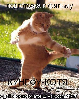 Котоматрица: подготовка к фильму КУНГФУ-КОТЯ