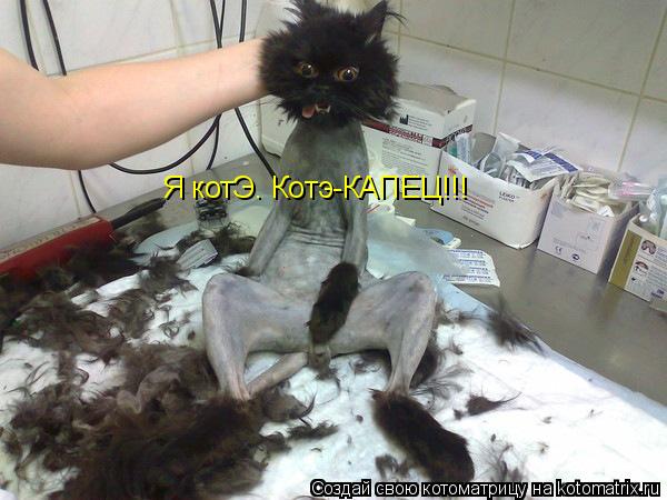 Котоматрица: Я котЭ. Котэ-КАПЕЦ!!!