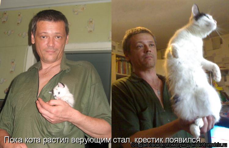 Котоматрица: Пока кота растил верующим стал, крестик появился.