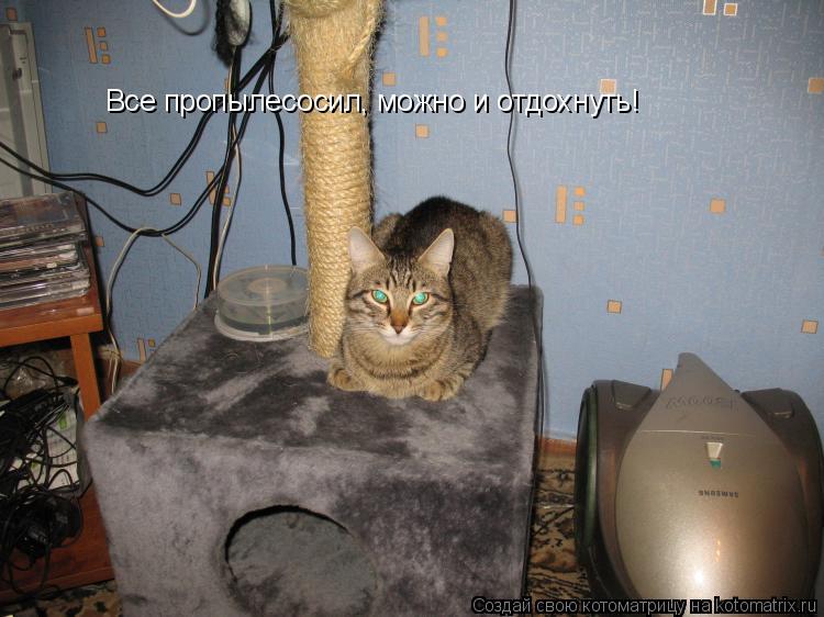 Котоматрица: Все пропылесосил, можно и отдохнуть!