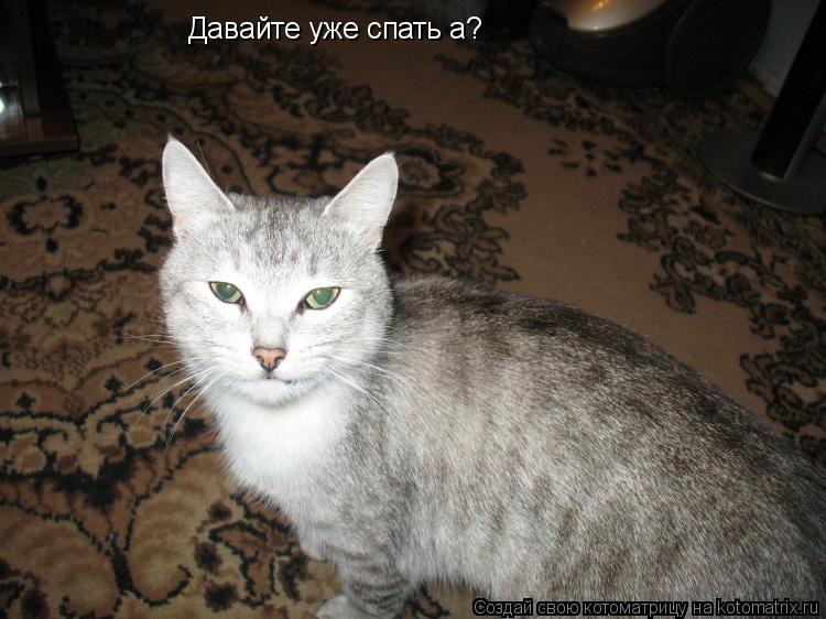Котоматрица: Давайте уже спать а?