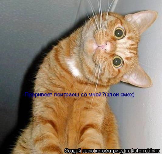 Котоматрица: -Пррривеет поиграеш со мной?(злой смех)