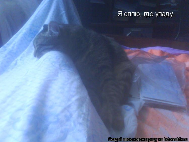 Котоматрица: Я сплю, где упаду