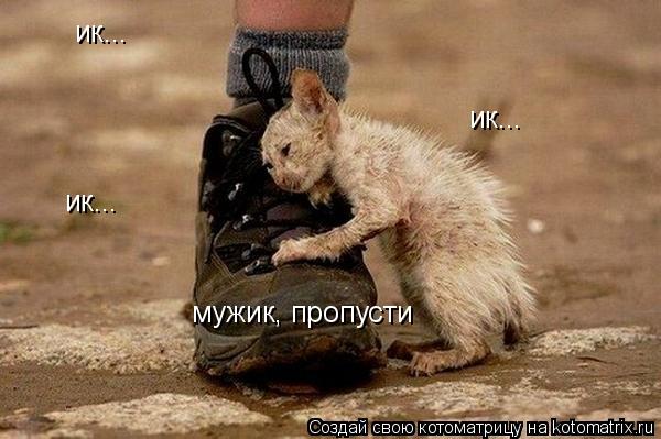 Котоматрица: ик... мужик, пропусти ик... ик...