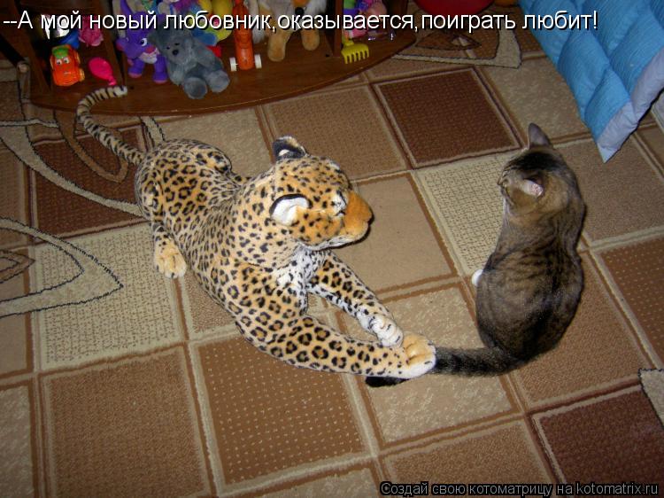 Котоматрица: --А мой новый любовник,оказывается,поиграть любит!