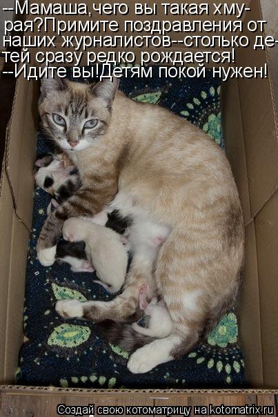 Котоматрица: --Мамаша,чего вы такая хму- рая?Примите поздравления от наших журналистов--столько де- тей сразу редко рождается! --Идите вы!Детям покой нужен