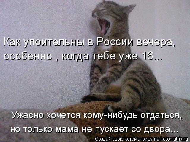 Как упоительны в России вечера, особенно , когда тебе уже 16... Ужасно хочется кому-нибудь отдаться,... Котоматрица: Как упоительны в России вечера, особенно , когда тебе уже 16... Ужасно хочется кому-нибудь отдаться, но только мама не пускает со двора...
