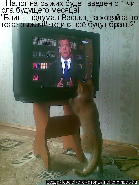 --Налог на рыжих будет введён с 1 чи- сла будущего месяца! "Блин!--подумал Васька,--а хозяйка-то тоже... Котоматрица: --Налог на рыжих будет введён с 1 чи- сла будущего месяца! "Блин!--подумал Васька,--а хозяйка-то тоже рыжая!Что,и с неё будут брать?"