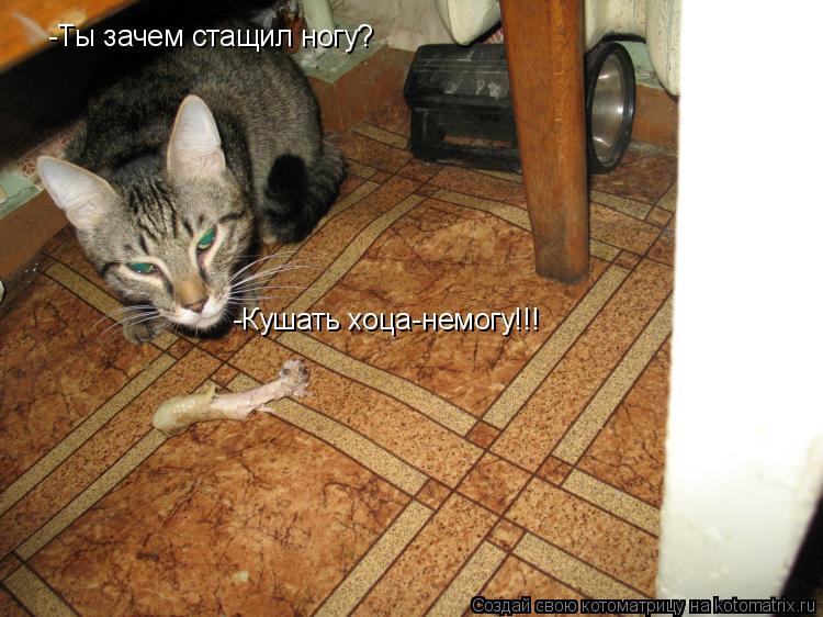 -Ты зачем стащил ногу? -Кушать хоца-немогу!!!... Котоматрица: -Ты зачем стащил ногу? -Кушать хоца-немогу!!!