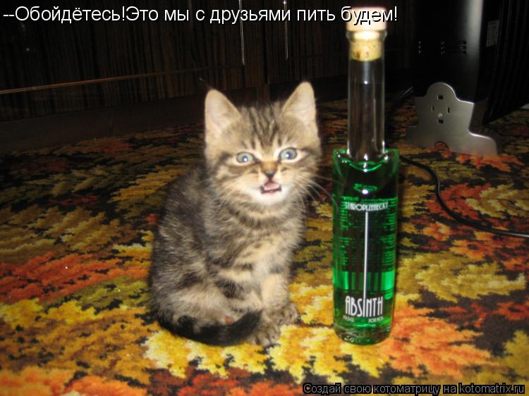 --Обойдётесь!Это мы с друзьями пить будем!... Котоматрица: --Обойдётесь!Это мы с друзьями пить будем!