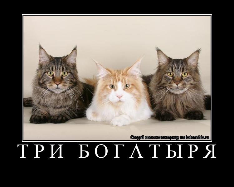 Котоматрица: три богатыря 
