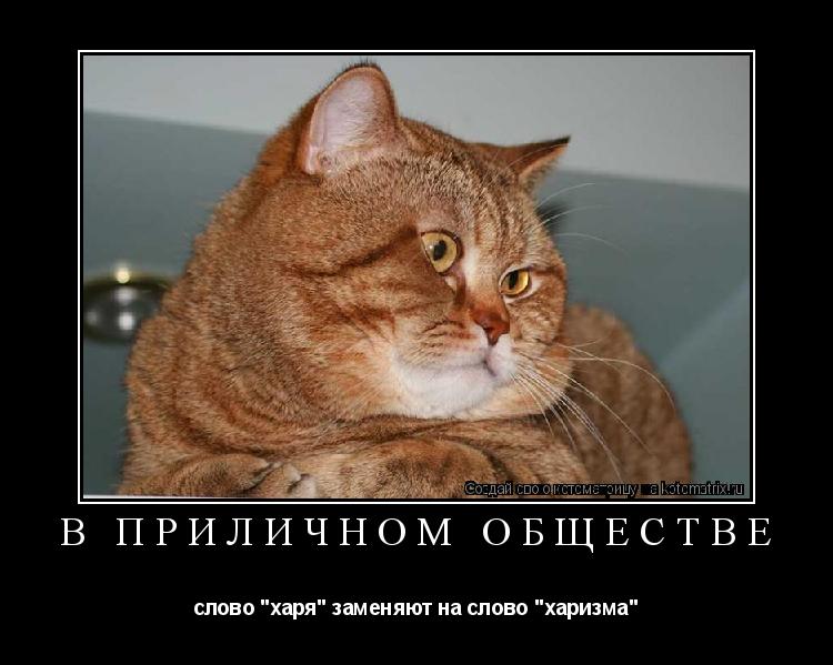 Котоматрица: В ПРИЛИЧНОМ ОБЩЕСТВЕ слово "харя" заменяют на слово "харизма"