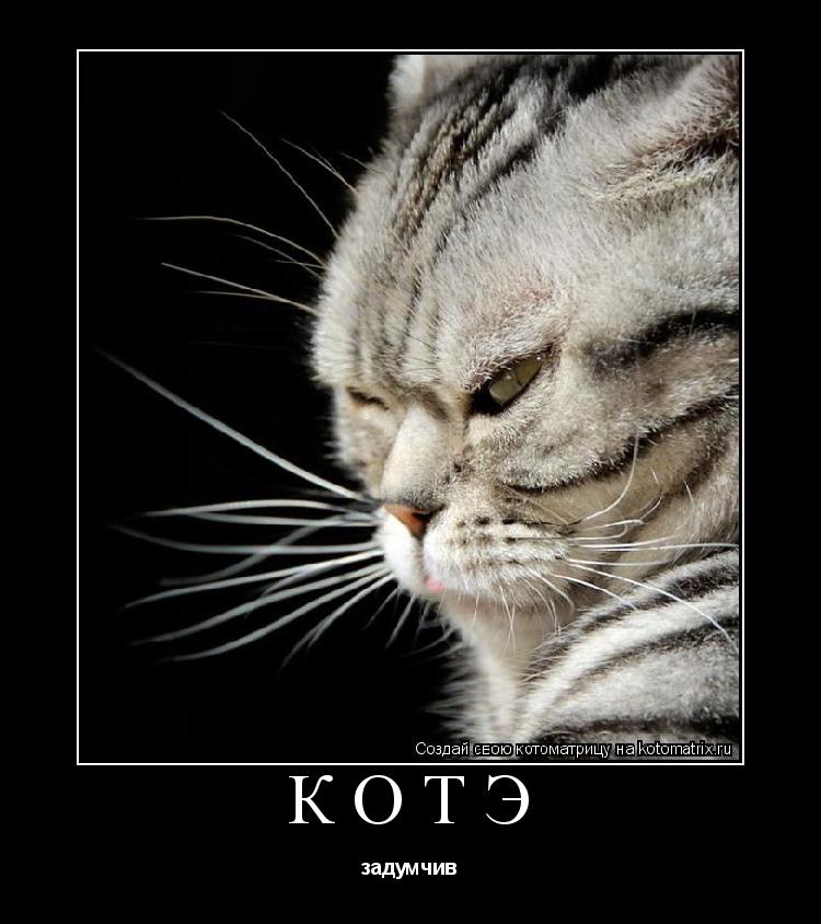 Котоматрица: котэ задумчив