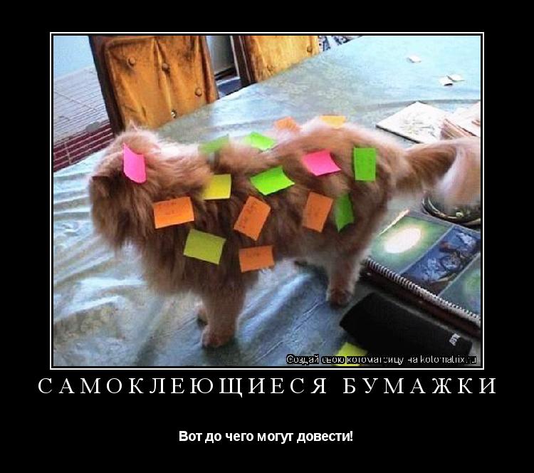 Самоклеющиеся бумажки Вот до чего могут довести!... Котоматрица: Самоклеющиеся бумажки Вот до чего могут довести!