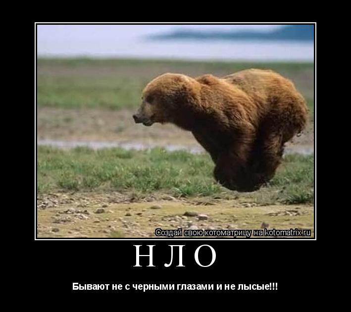 НЛО Бывают не с черными глазами и не лысые!!!... Котоматрица: НЛО Бывают не с черными глазами и не лысые!!!