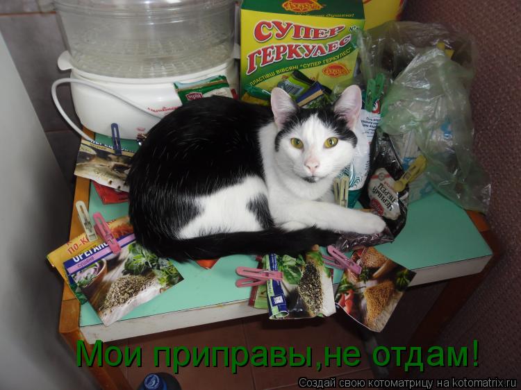 Мои приправы,не отдам!... Котоматрица: Мои приправы,не отдам!