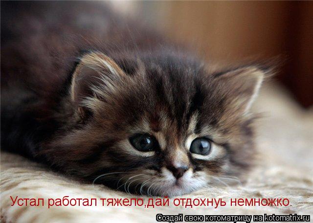 Устал работал тяжело,дай отдохнуь немножко.... Котоматрица: Устал работал тяжело,дай отдохнуь немножко.