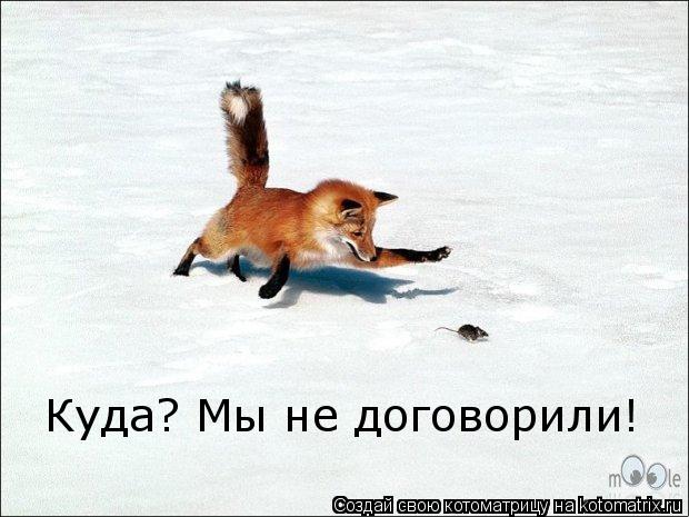 Куда? Мы не договорили!... Котоматрица: Куда? Мы не договорили!