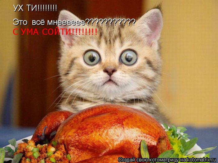 Котоматрица: УХ ТИ!!!!!!!! Это  всё мнееееее??????????? С УМА СОЙТИ!!!!!!!!