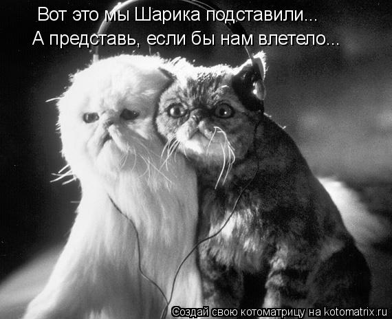 Котоматрица: Вот это мы Шарика подставили... А представь, если бы нам влетело...