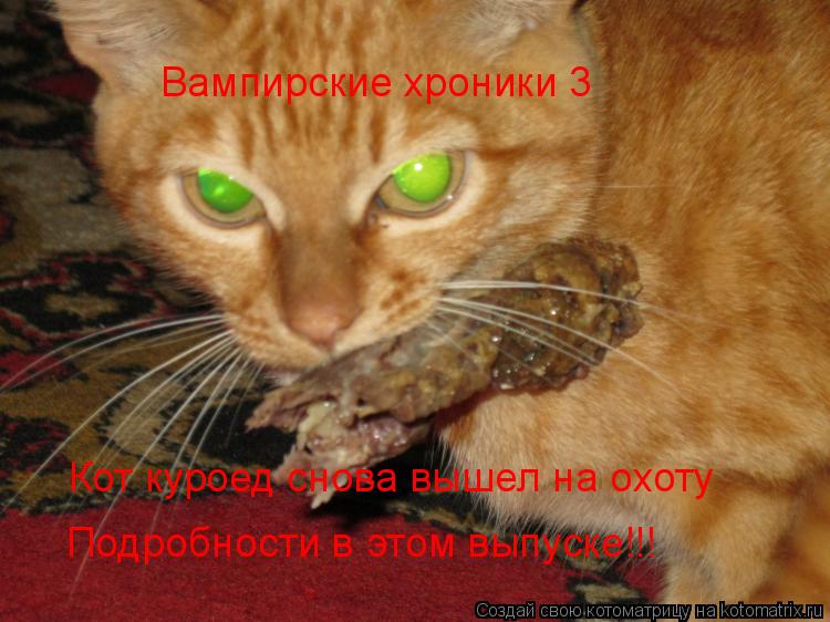 Котоматрица: Вампирские хроники 3 Кот куроед снова вышел на охоту Подробности в этом выпуске!!!