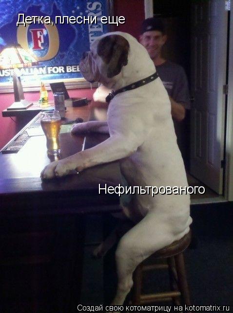 Котоматрица: Детка,плесни еще Нефильтрованого