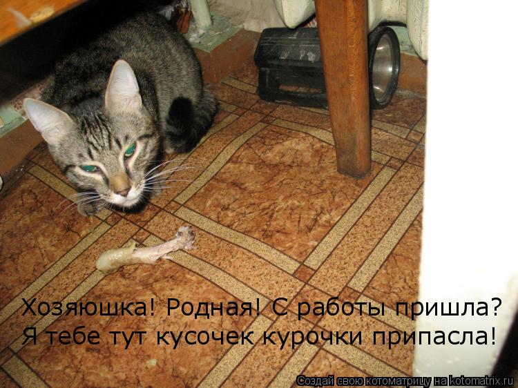 Котоматрица: Хозяюшка! Родная! С работы пришла? Я тебе тут кусочек курочки припасла!