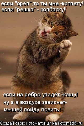 Котоматрица: если "орёл",то ты мне -котлету! если "решка" - колбаску! если на ребро упадёт -кашу! ну а в воздухе зависнет- мышей пойду ловить!