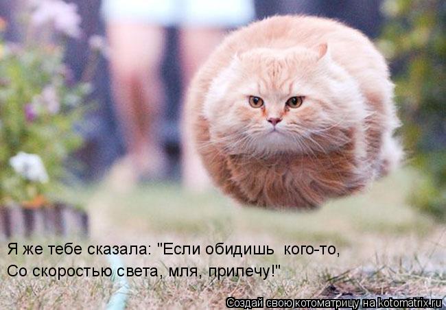 Котоматрица: Я же тебе сказала: "Если обидишь  кого-то, Со скоростью света, мля, прилечу!"