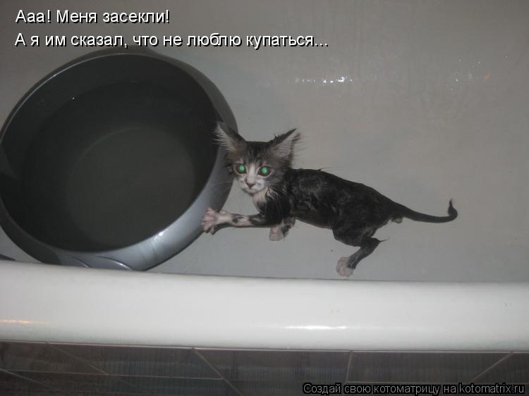 Котоматрица: Ааа! Меня засекли!  А я им сказал, что не люблю купаться...